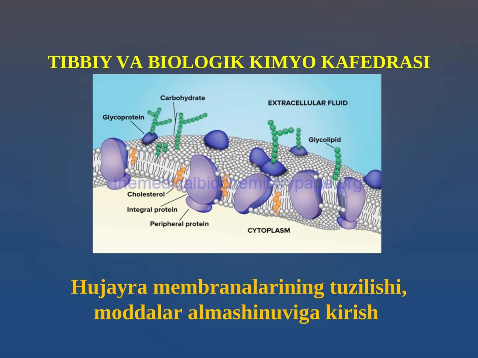Hujаyrа mеmbrаnаlаrining tuzilishi, mоddаlаr аlmаshinuvigа kirish 1