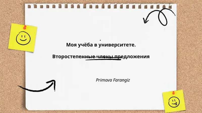 Моя учёба в университете 1