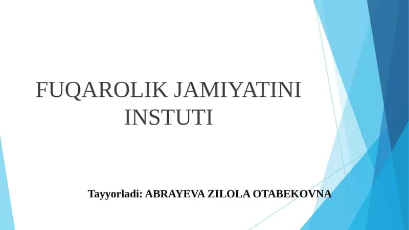 Fuqarolik Jamiyatini Instuti 1