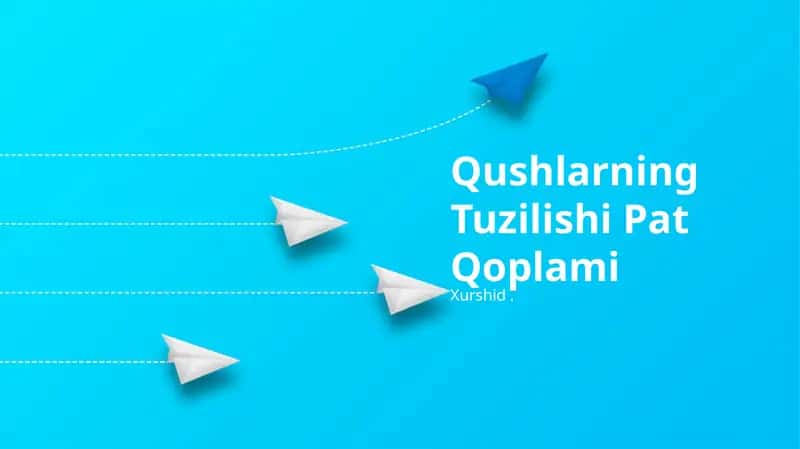 Qushlarning Tuzilishi Pat Qoplami 1