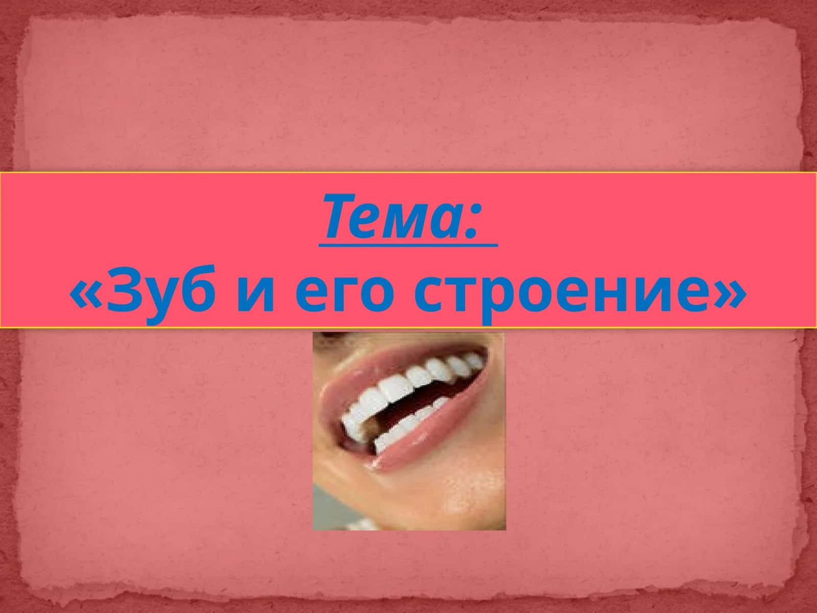 Зуб и его строение 1