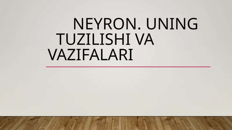 Neyron. Uning tuzilishi va vazifalari 1