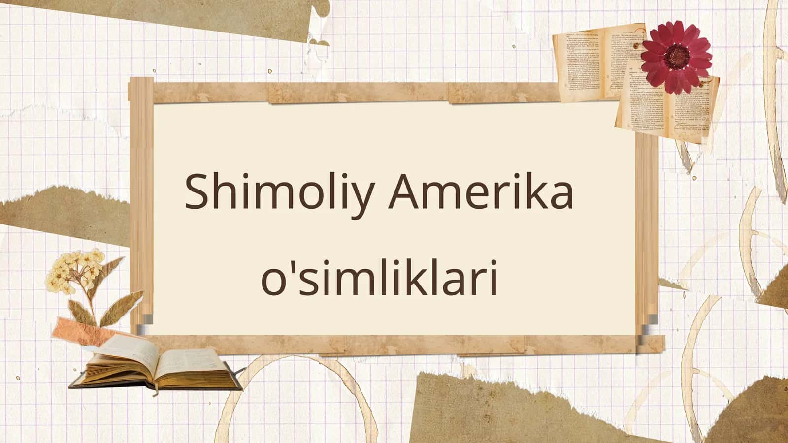 Shimoliy Amerika o'simliklari 1