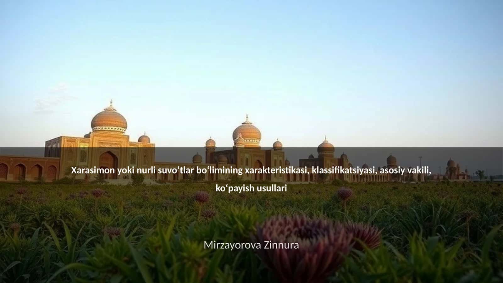 Xarasimon yoki nurli suvoʻtlar boʻlimining xarakteristikasi, klassifikatsiyasi, asosiy vakili, koʻpayish usullari 1