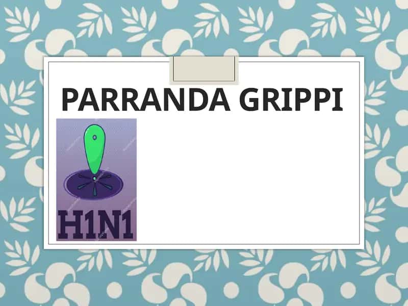 Parranda grippi 1