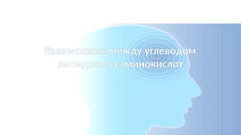 Взаимосвязь между углеводом липидном и аминокислот 1