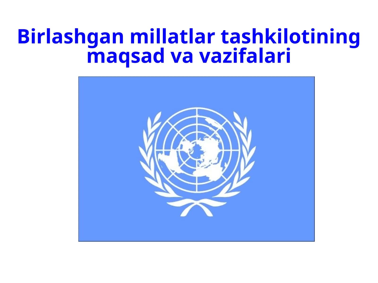Birlashganmillatlartashkilotiningmaqsadvavazifalari 1