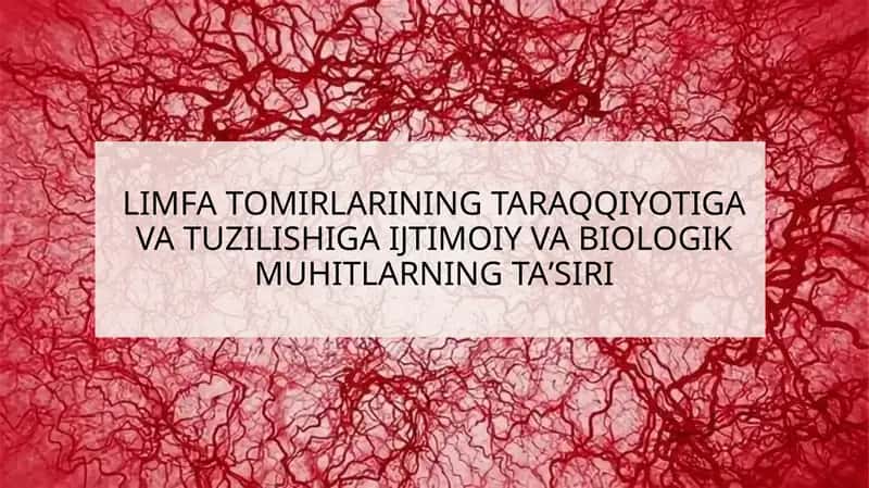 Limfa Tomirlarining Taraqqiyotiga va Tuzilishiga Ijtimoiy va Biologik Muhitlarning Ta'siri 1