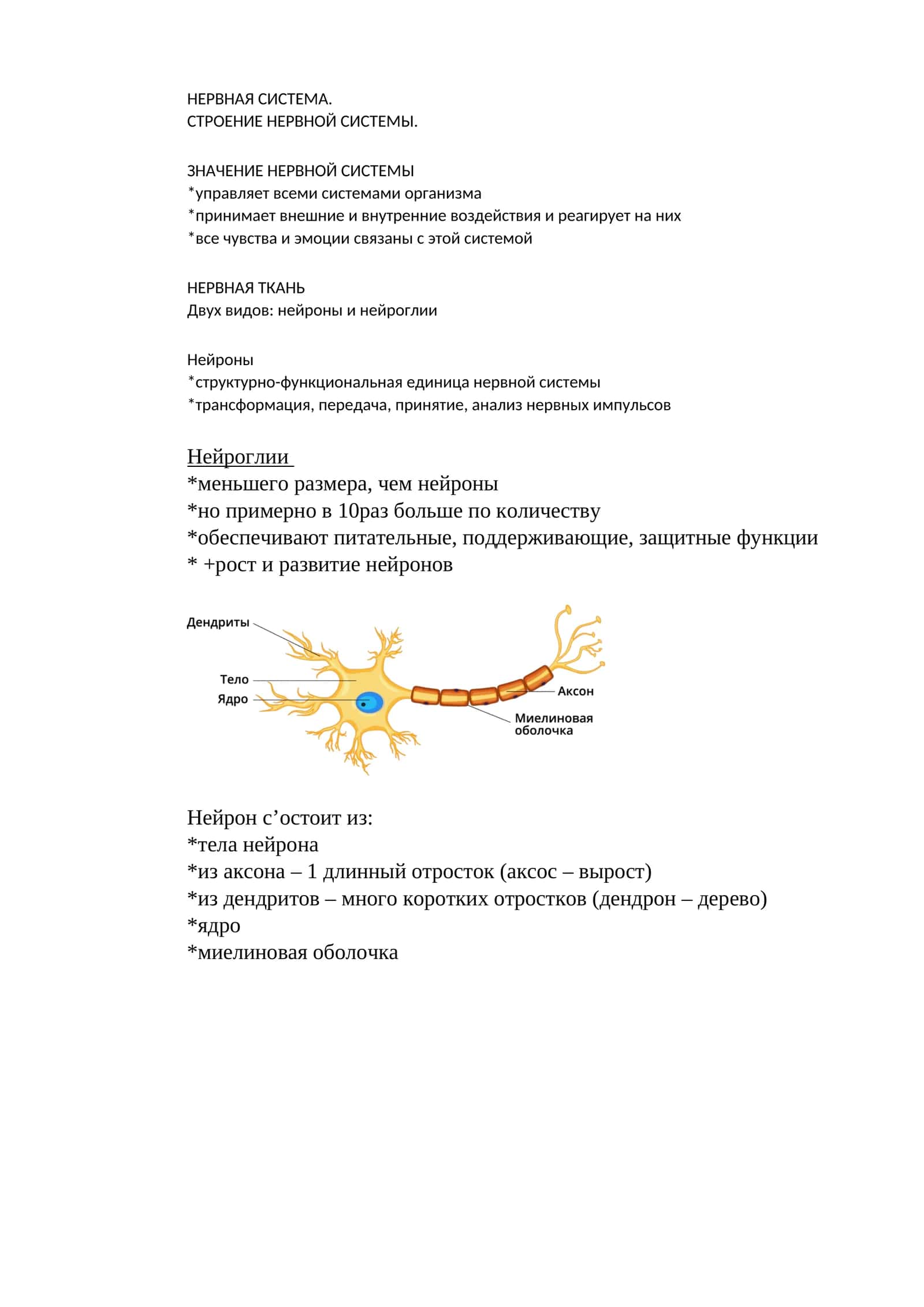 Нервная система 1