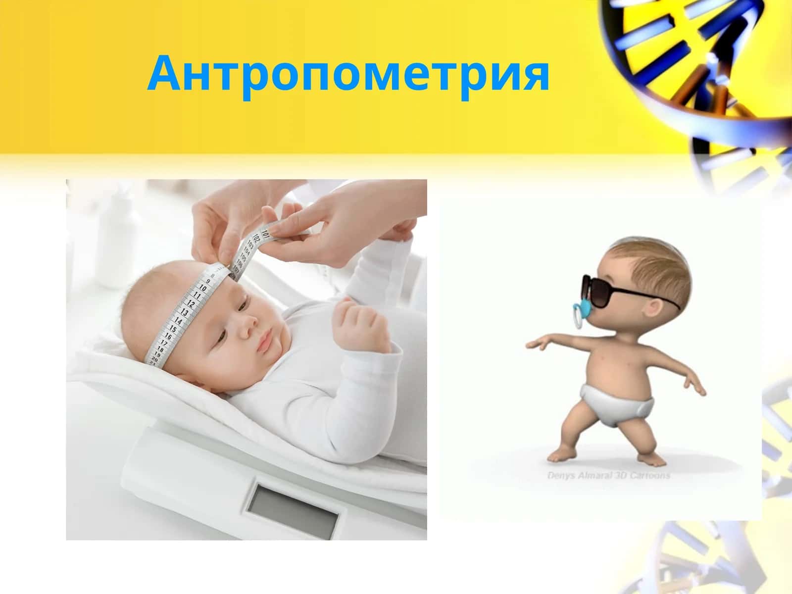 Антропометрия 1