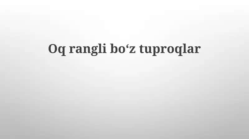 Yorugʻ sur tuproqlar 1