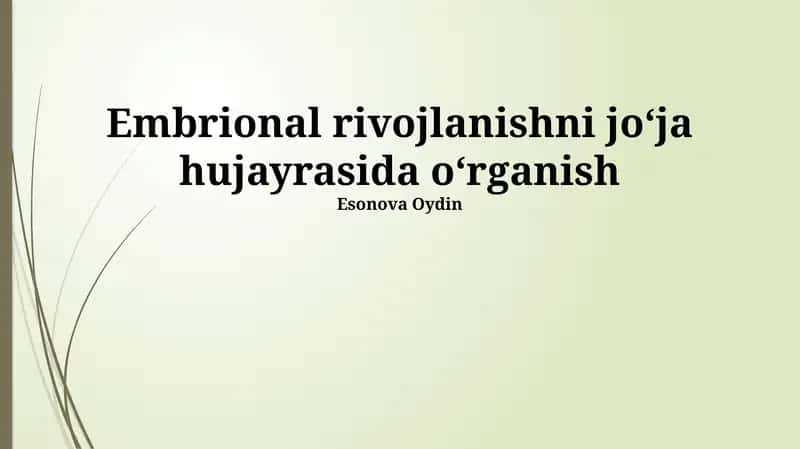 Tovuq hujayrasida embrional rivojlanishni o'rganish 1