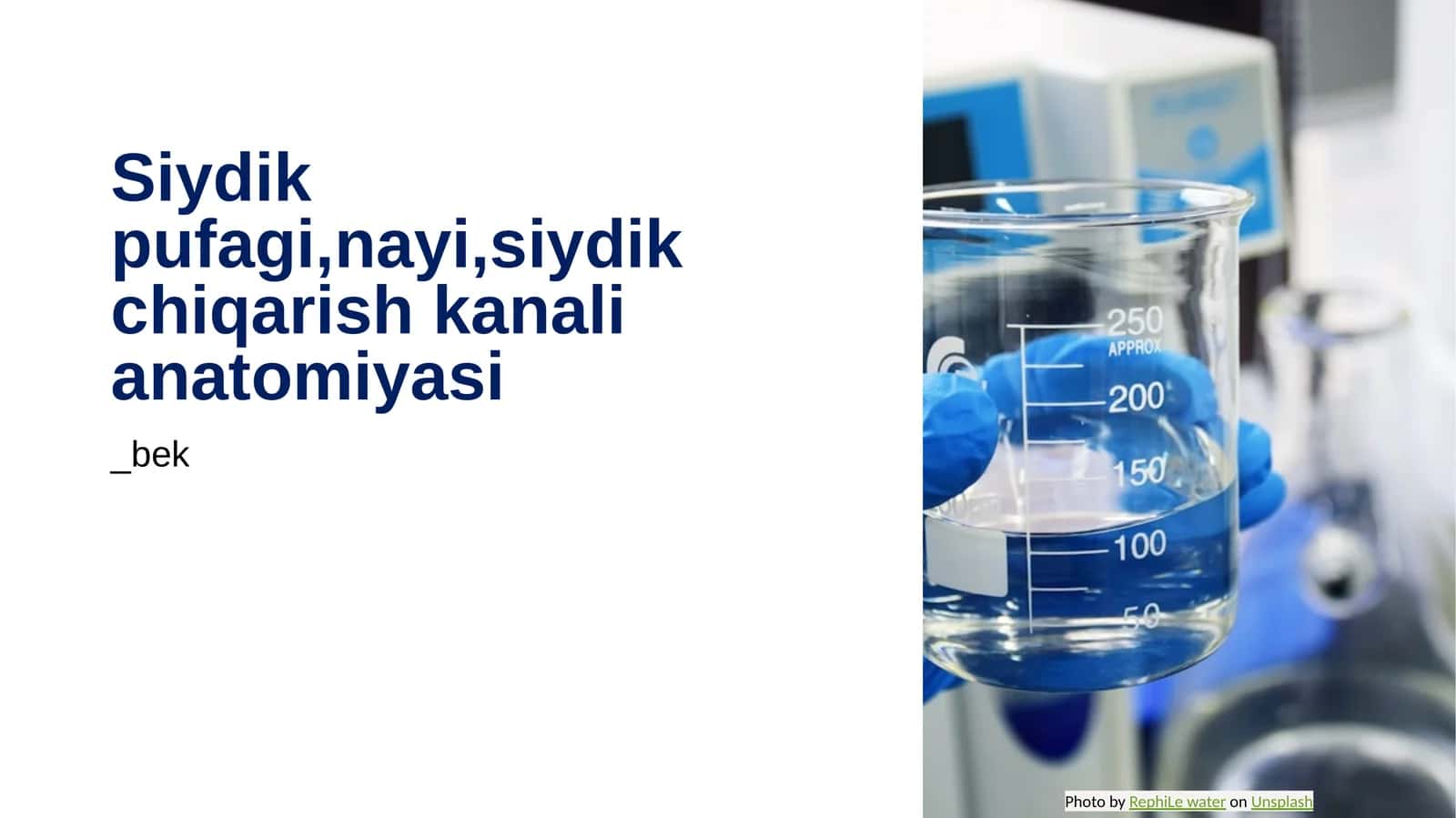 Siydik pufagi, nayi, siydik chiqarish kanali anatomiyasi 1