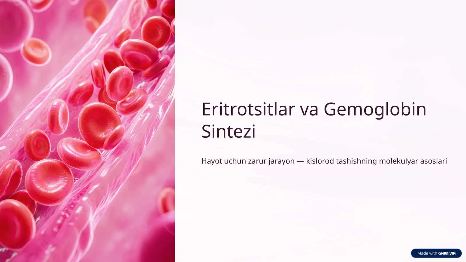 Eritrotsitlar va Gemoglobin Sintezi 1