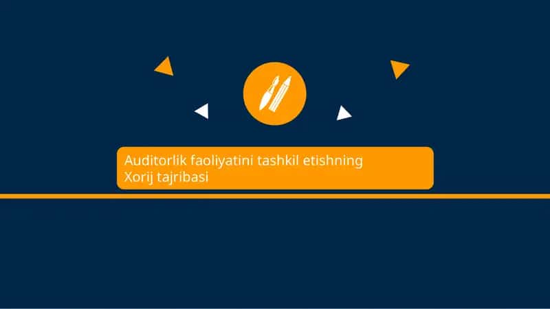 Auditorlik faoliyatini tashkil etishning Xorij tajribasi 1