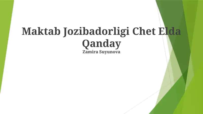 Maktab Jozibadorligi Chet Elda Qanday 1