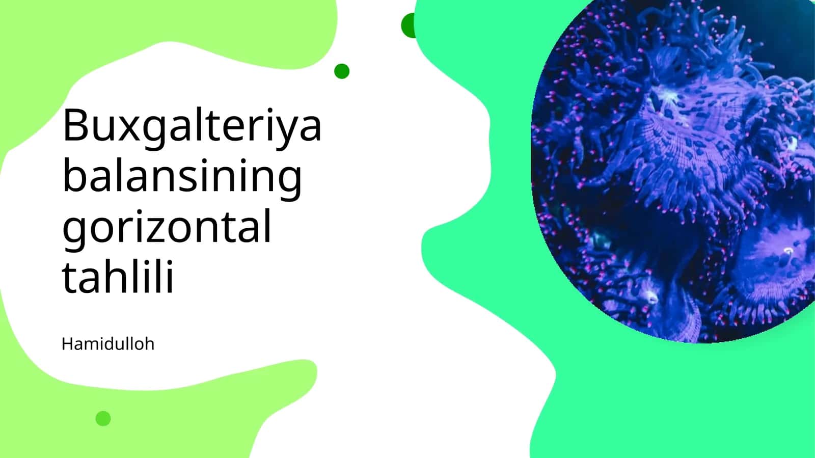 Buxgalteriya balansining gorizontal tahlili 1