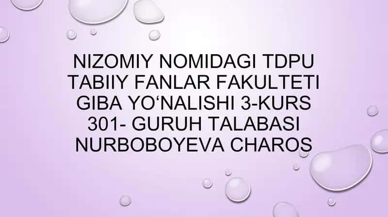 Mavzu: Korxona – tadbirkorlikning tashkiliy ko’rinishi. Korxona mulki va uning manbalari 1