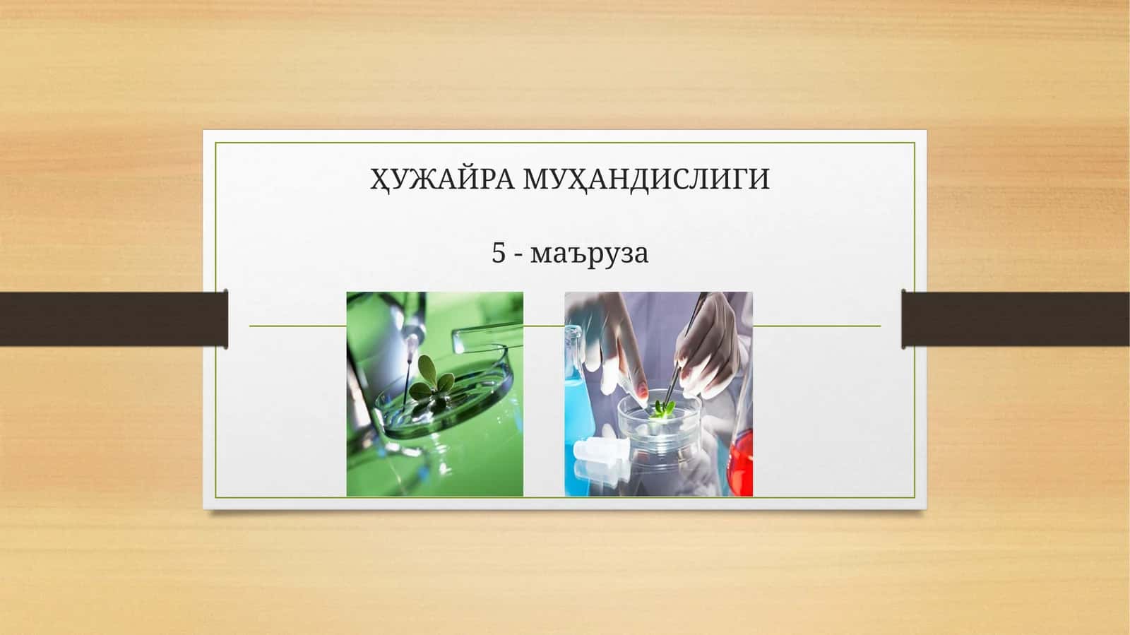 ҲУЖАЙРА МУҲАНДИСЛИГИ 1