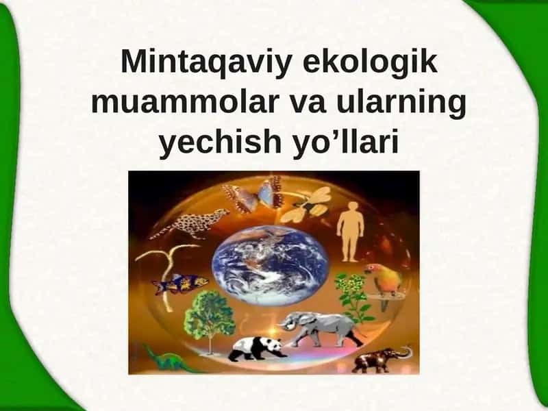 Mintaqaviy ekologik muammolar va ularningyechish yo’llari 1