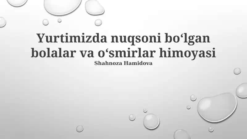 Mavjud Huquqiy Mexanizmlar va Himoya Choralar 1