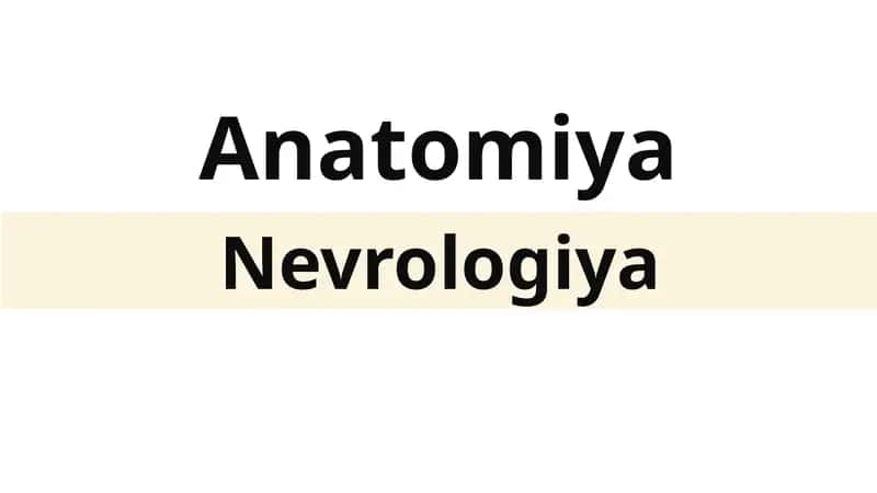 Anatomiya 1