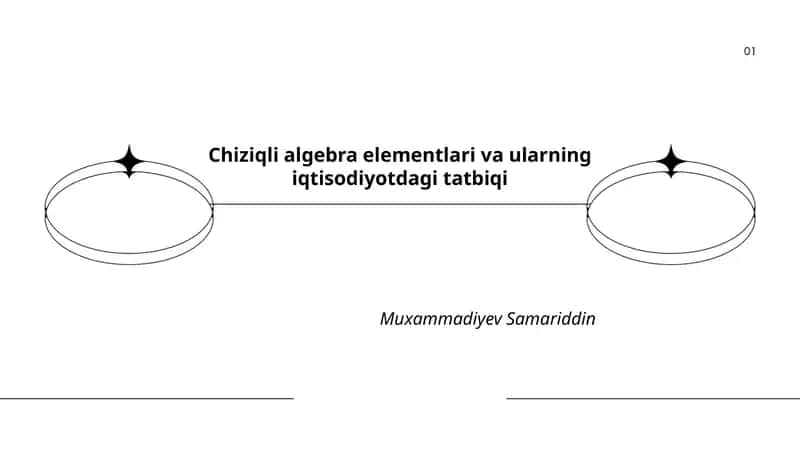 Chiziqli algebra elementlari va ularning iqtisodiyotdagi tatbiqi 1