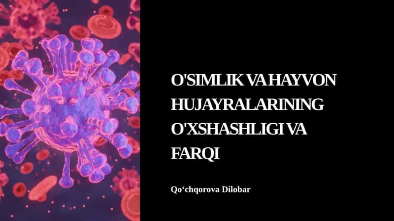 O'SIMLIK VA HAYVON HUJAYRALARINING O'XSHASHLIGI VA FARQI 1