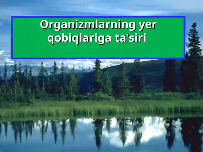 Organizmlarning yer qobiqlariga ta'siri