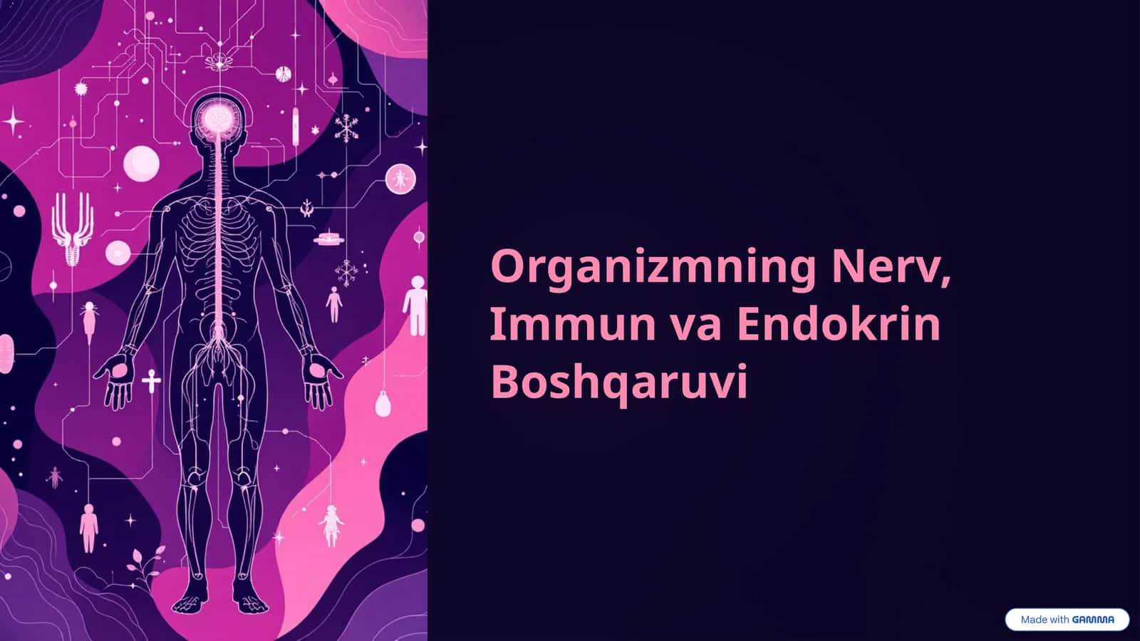 Organizmning Nerv, Immun va Endokrin Boshqaruvi 1