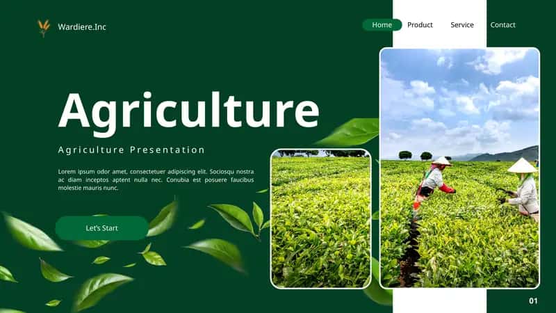 Agriculture Presentation 1
