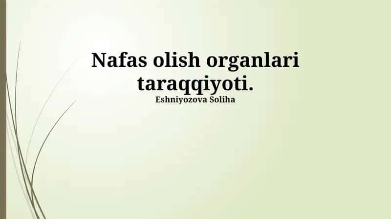 Nafas olish organlari taraqqiyoti 1