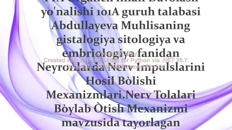Neyronlarda Nerv Impulslarini Hosil Bòlishi Mexanizmlari 1