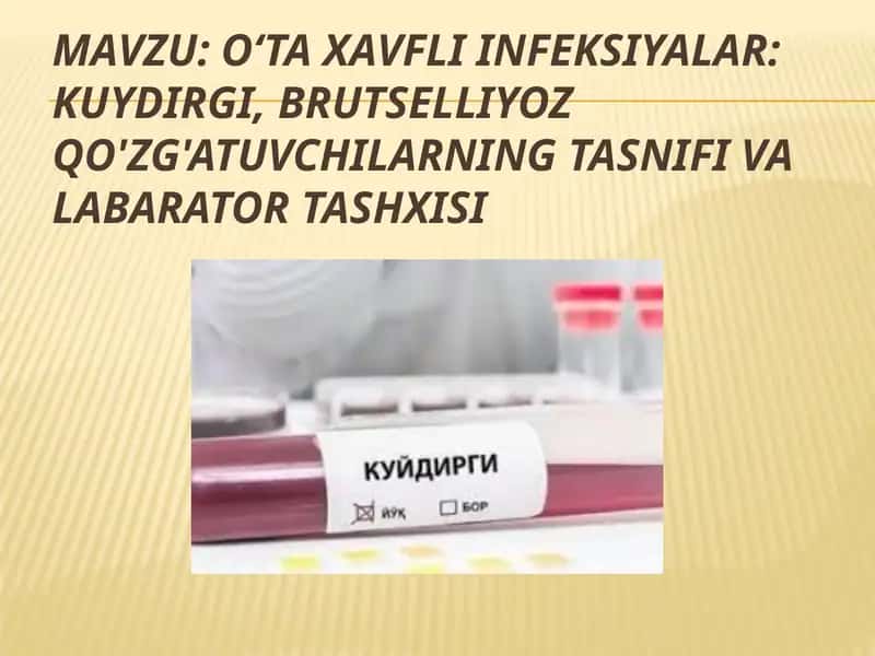 O‘ta xavfli infeksiyalar: kuydirgi, brutselliyoz qo'zg'atuvchilarning tasnifi va labarator tashxisi 1