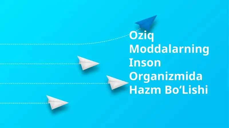 Oziq Moddalarning Inson Organizmida Hazm Bo‘Lishi 1