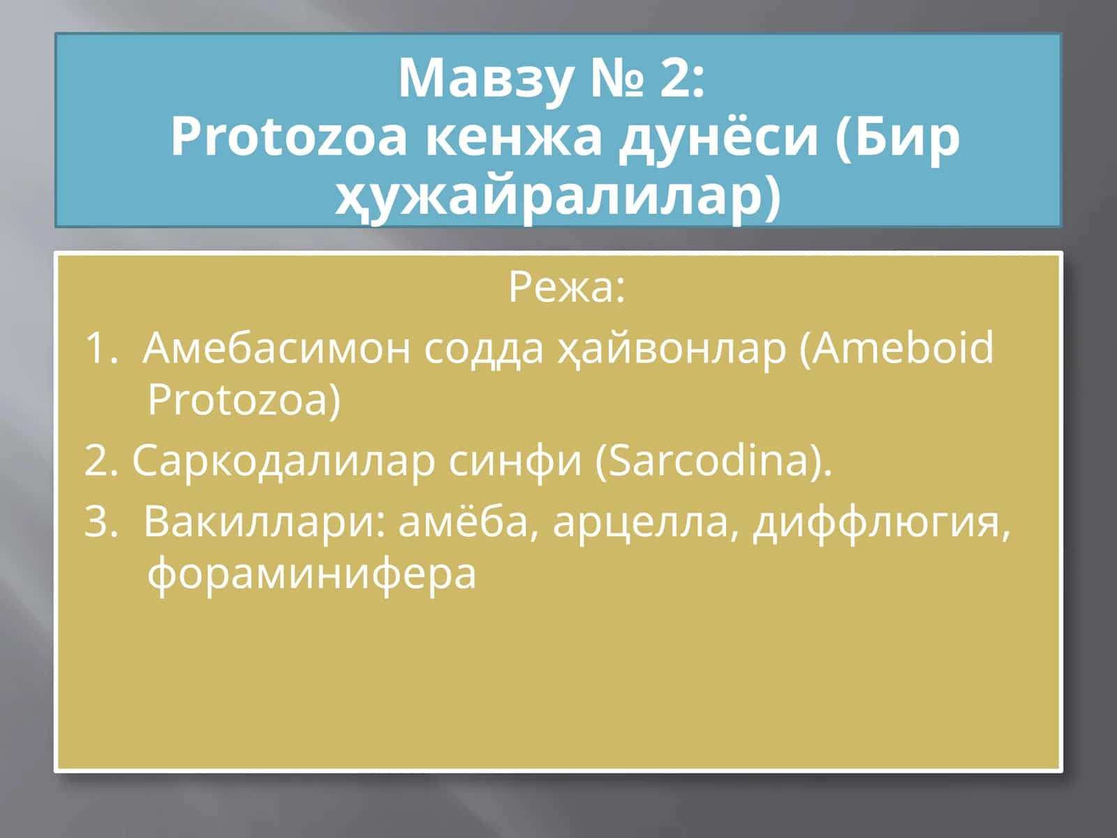 Protozoa кенжа дунёси (Бир ҳужайралилар) 1