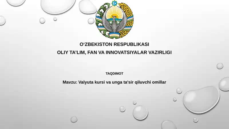 Valyutakursi va uning ta'siri 1