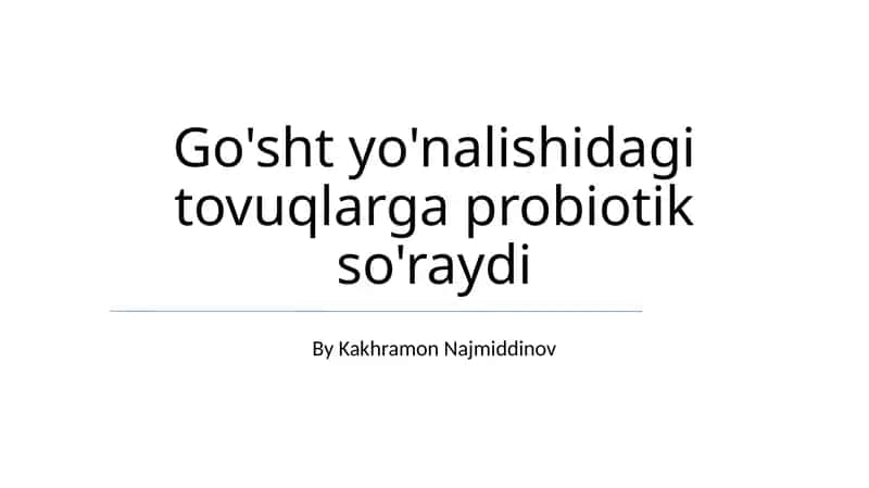 Tovuqlarga probiotik 1