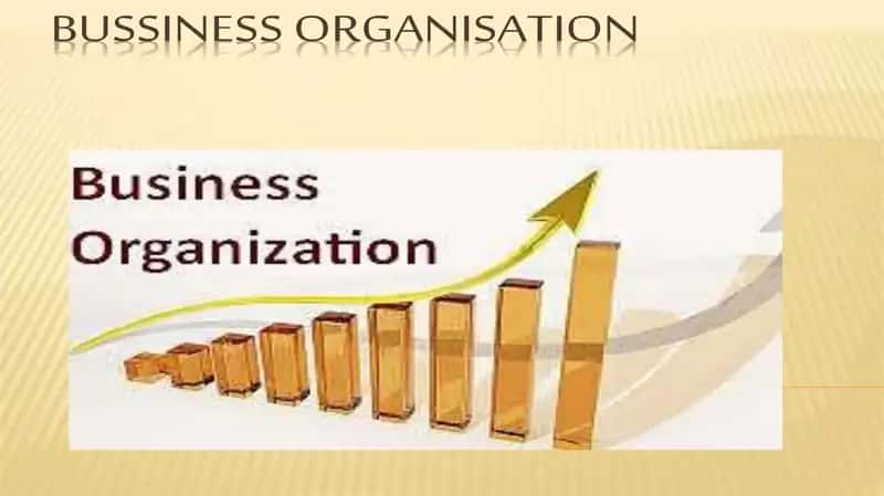 Business Organization 1