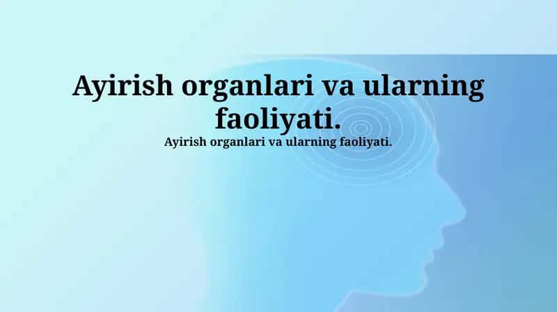 Chiqaruv organlari va ularning faoliyati 1