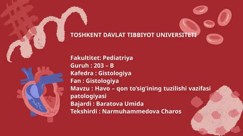 Havo-qonto‘sig‘i anatomik, gistologik tuzilishi 1