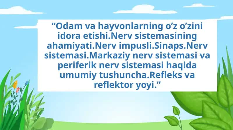 Nerv sistemasi.Markaziy nerv sistemasi va periferik nerv sistemasi 1