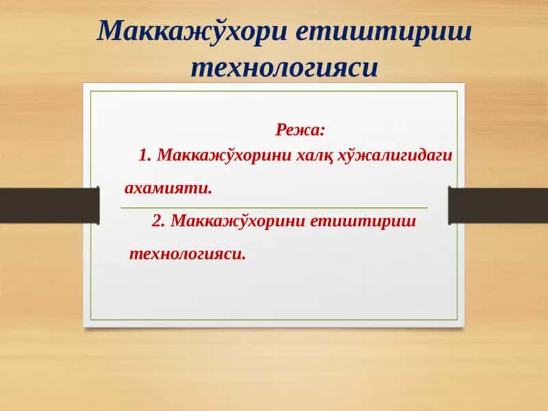 Маккажўхорини етириш технологияси 1