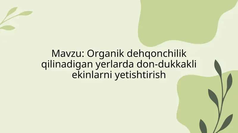 Organik dehqonchilik qilinadigan yerlarda don-dukkakli ekinlarni yetishtirish 1