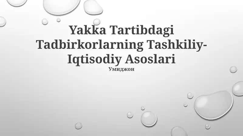 Yakka Tartibdagi Tadbirkorlarning Tashkiliy-Iqtisodiy Asoslari 1