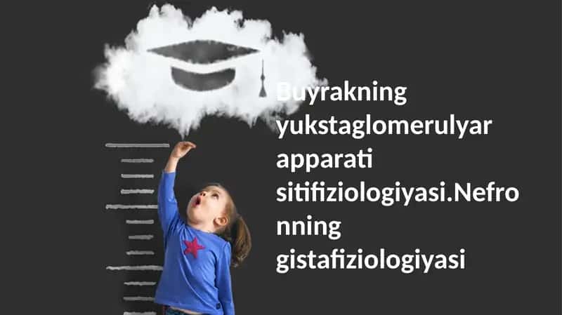 Buyrakning yukstaglomerulyar apparati sitifiziologiyasi 1