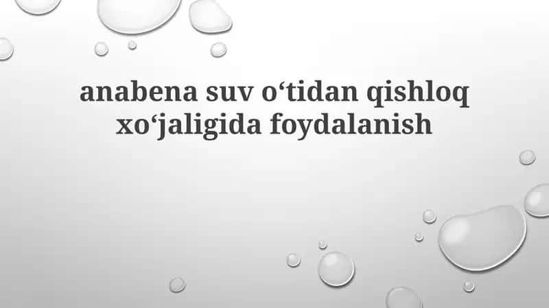 Anabaena suv oʻtlari: Xususiyatlari va afzalliklari 1