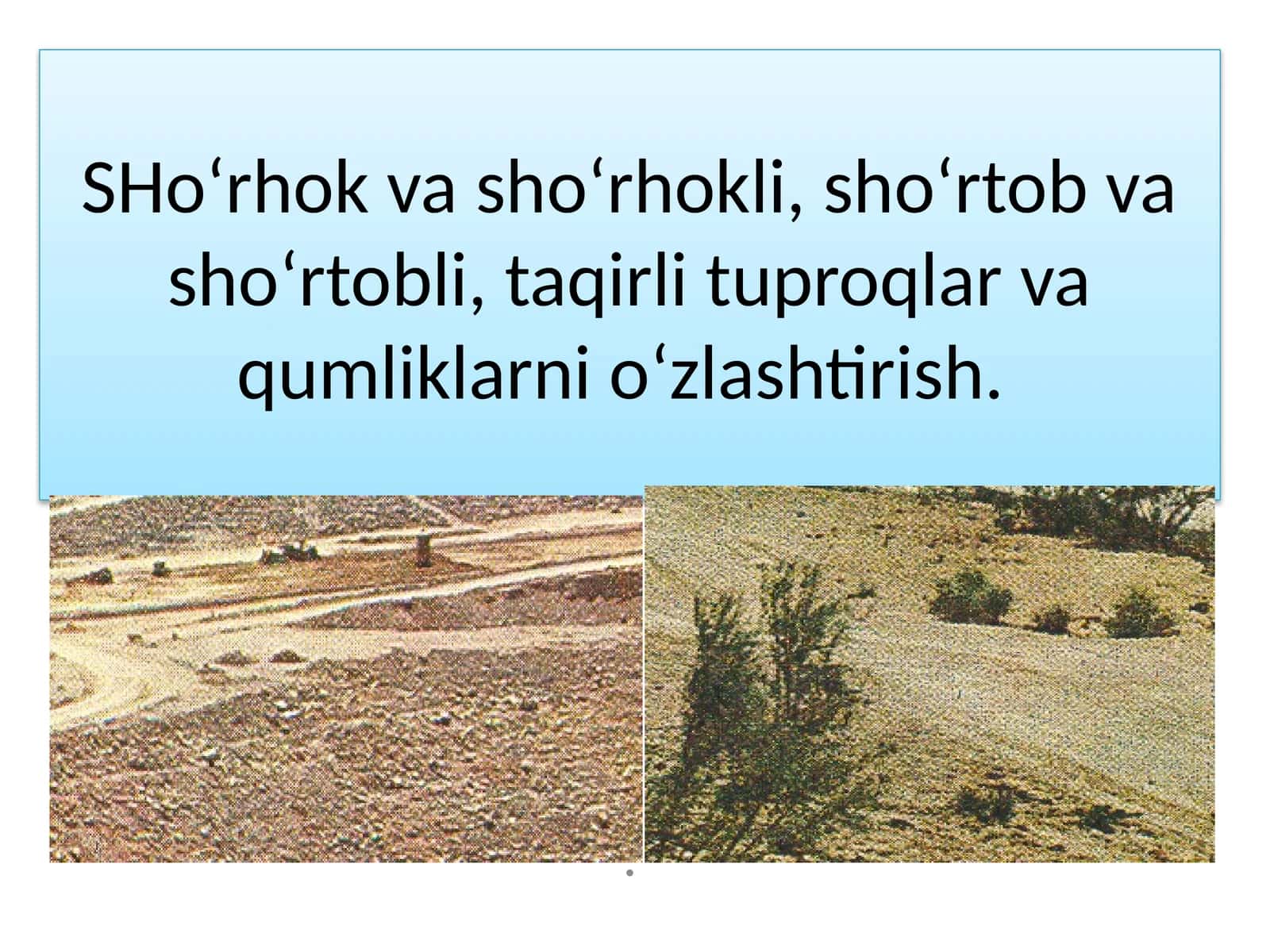 Sho‘rhok va sho‘rhokli, sho‘rtob va sho‘rtobli, taqirli tuproqlar va qumliklarni o‘zlashtirish 1