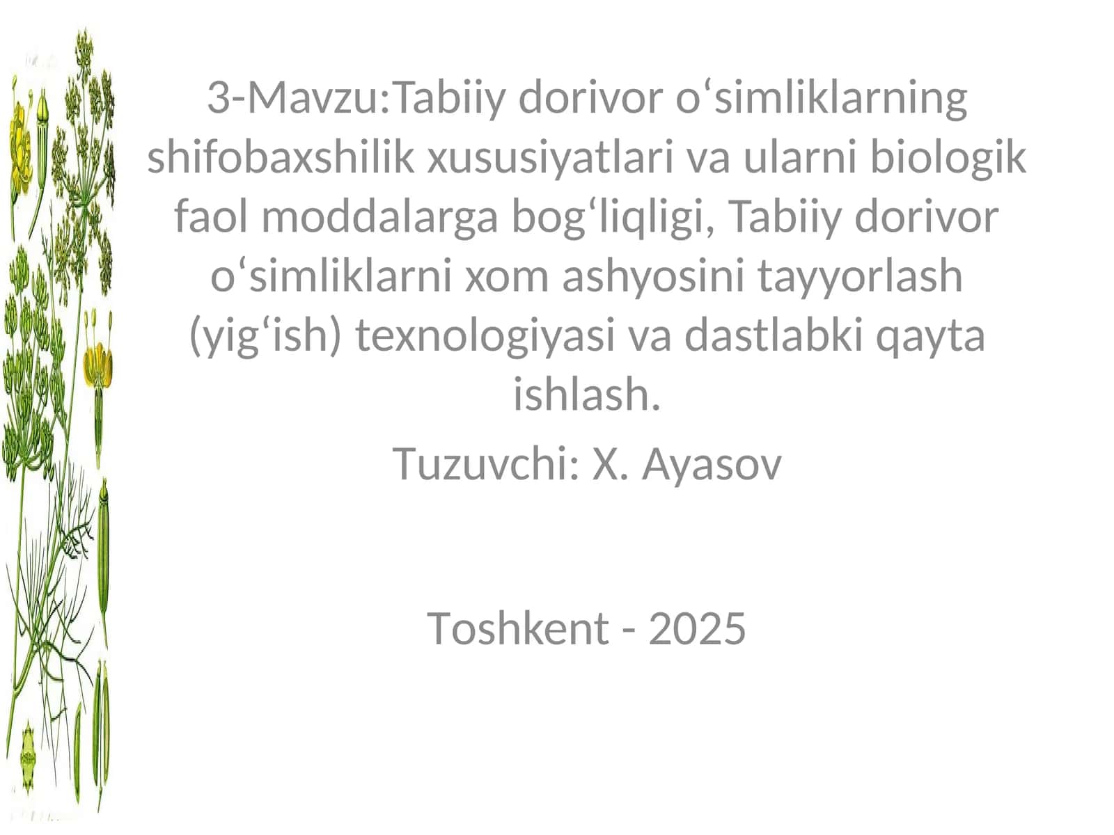 Tabiiy dorivor oʻsimliklarning shifobaxshilik xususiyatlari va ularni biologik faol moddalarga bogʻliqligi 1