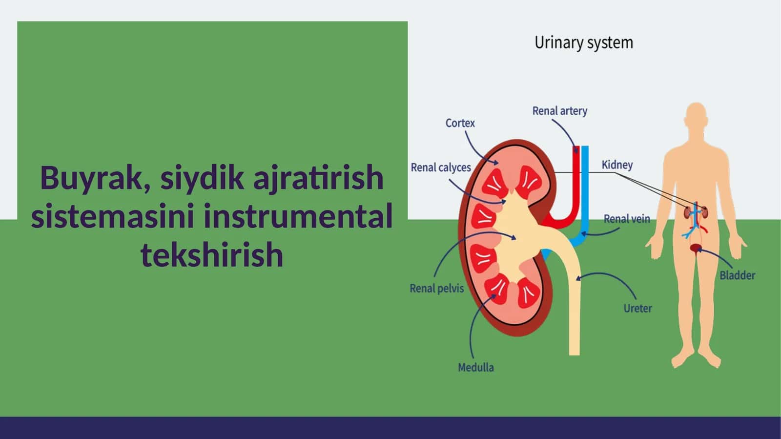 Instrumental tekshirish turlari 1